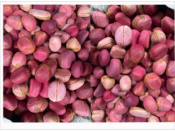 OBI/KOLA NUT